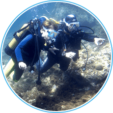 50 sites de plongées pour débutants - Aixplo Aix-en-Provence Plongée
